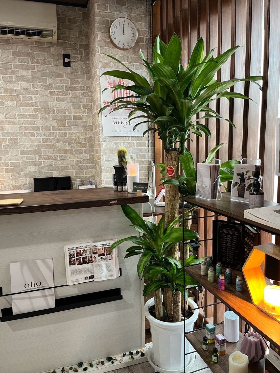 Relash Garden Lounge Home care